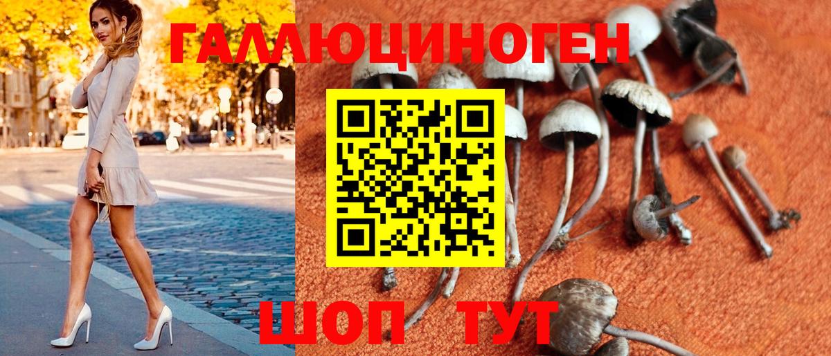 Галлюциногенные грибы Psilocybine cubensis Югорск
