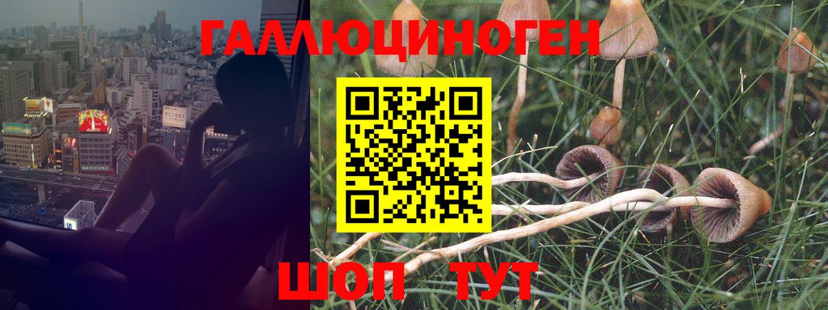 Югорск  Галлюциногенные грибы Psilocybe  Вход с VPN 